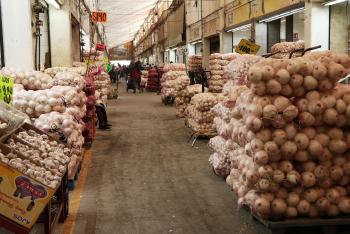LA TEMPORADA DE CEBOLLA ESTÁ EN LA CEDA