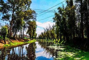 LABORES DE LIMPIEZA EN CANALES DE RIEGO, FACILITAN ACTIVIDAD AGRÍCOLA