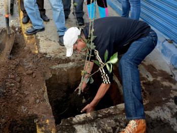 Continua Tlalpan acciones de mejoramiento urbano