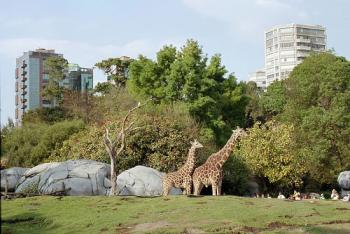 Reciben capacitación internacional Médicos veterinarios de zoológicos de CDMX