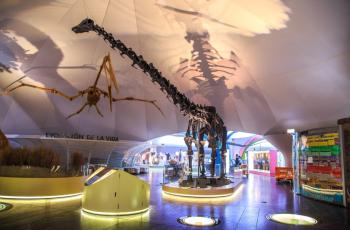 Renuevan el Museo de Historia Natural