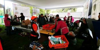 Recibió mercado de trueque de agosto a 4 mil participantes