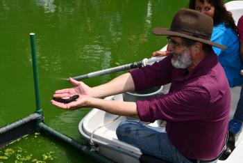 VOLVIERON LOS AJOLOTES AL LAGO TEZOZOMOC