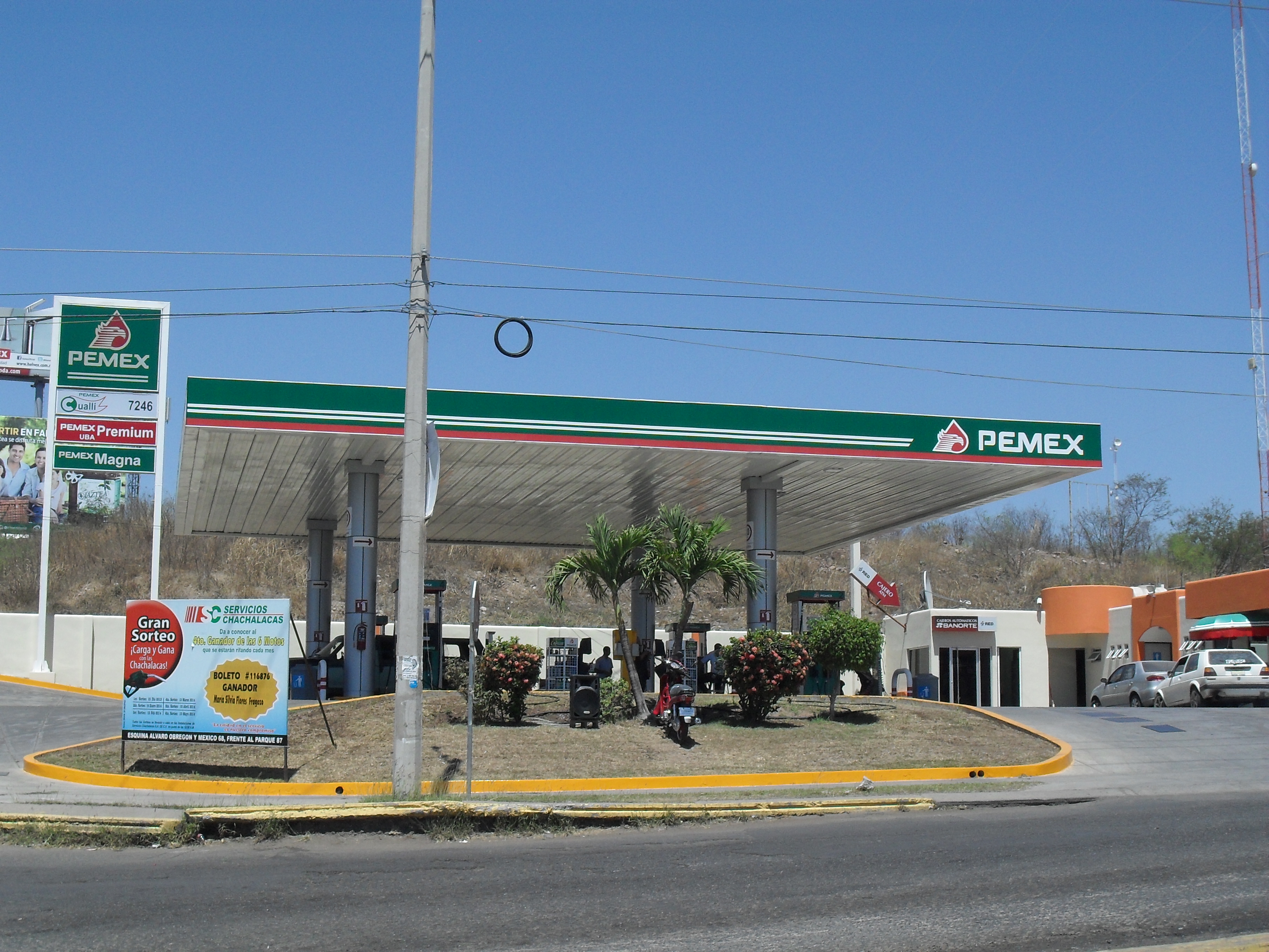 Les dan gato por liebre en gasolinera de Campeche