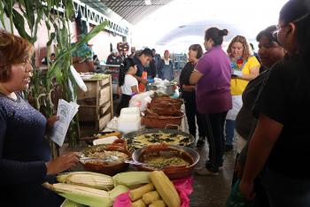 INVITA CEDA A CONOCER VARIEDADES DE ELOTE