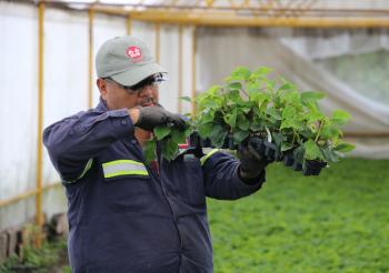 IMPULSAN  A LOS SECTORES CAMPESINOS Y CHINAMPEROS DE XOCHIMILCO, MEDIANTE PROGRAMA DE ENTREGA DE SEMILLAS