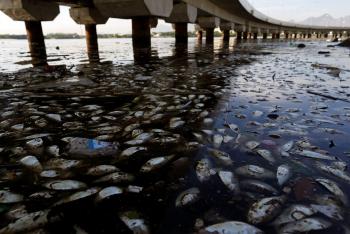 Al menos 30 mil hospitalizados por agua contaminada en Irak