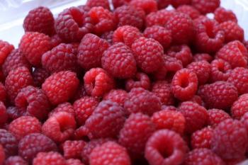 Imparte SEDEREC taller de cultivo de berrys a personas productoras de CDMX
