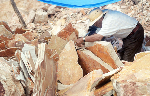 Museo universitario en la mixteca poblana exhibe restos fósiles de hace 100 millones de años