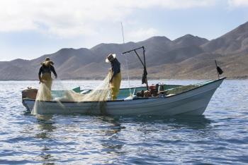 Urge establecer una Comisión de Pesca y Acuacultura en el Senado de la República