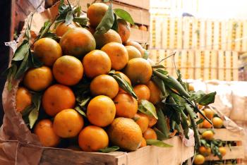 CON LA MANDARINA COMIENZA TEMPORADA DE CÍTRICOS EN CEDA