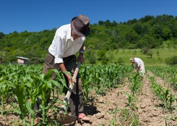 Certeza jurídica en la tenencia de la tierra, demandan senadores