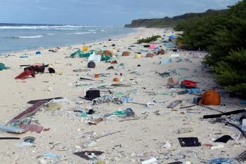 Llama Sermarnat a no utilizar desechables en las playas