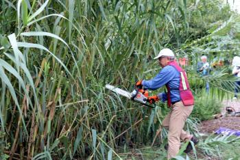 Inicia programa Sábado Comunitario en Colonia Infonavit Iztacalco
