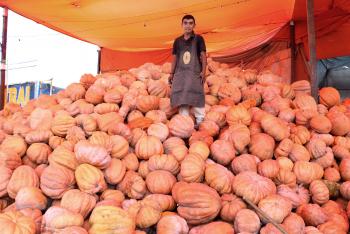LA CALABAZA Y EL CAMOTE LLEGARON A CEDA