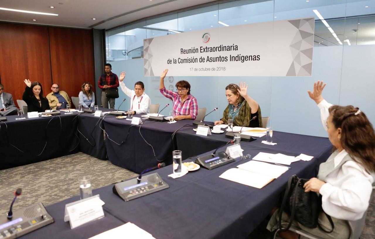Trabajarán senadores y diputados en Conferencia para crear el Instituto Nacional de Pueblos Indígenas