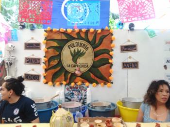 OAXACA LLEGARÁ A XOCHIMILCO