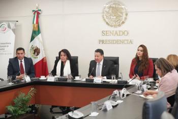 GUARDIA NACIONAL NO DEBE ESTAR SOMETIDA AL PODER MILITAR, CONSIDERA MAYA GARCÍA