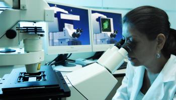 Entra en funciones Secretaría de Educación, Ciencia, Tecnología e Innovación