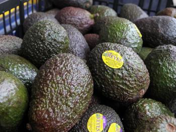  Michoacán exporta 32 mil toneladas de aguacate para Super Bowl