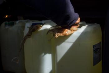 Localizan toma clandestina en la GAM