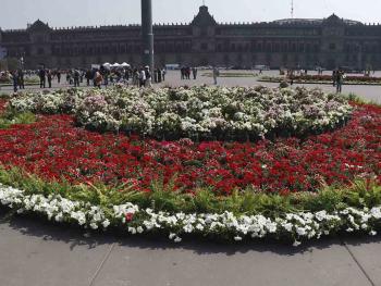 Inundan corazones al Zócalo capitalino