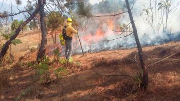 SEDEMA ha atendido 178 incendios en ocho Alcaldías