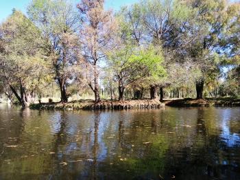 Proyecta Xochimilco apertura de nueva ruta Turística