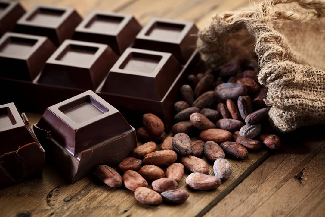 El 2 de septiembre de cada año, será Día Nacional del Cacao y el Chocolate
