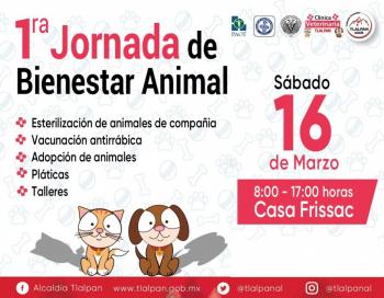 Tlalpan realizará la Primera Jornada de Bienestar Animal