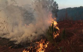 Se registra incendio en pastizales de Naucalpan