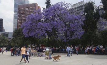 Tarde calurosa con probabilidad de lluvias ligeras