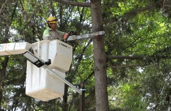 La Alcaldía Gustavo A. Madero se suma a la conmemora los 60 años del Instituto Politécnico Nacional a través de Jornadas de mejoramiento