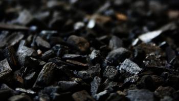 CFE comprará a Glencore 4 millones de carbón para termoeléctrica de Guerrero