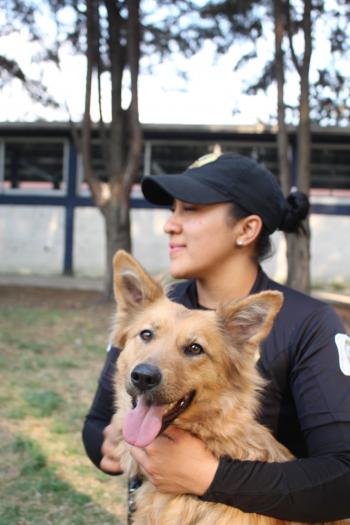 En los primeros tres meses del año la brigada de vigilancia animal de la SSC ha realizado 281 atenciones y rescatado 147 especies