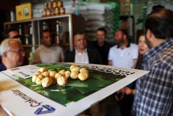 Interesa la CEDA a productores de Avellana Turcos
