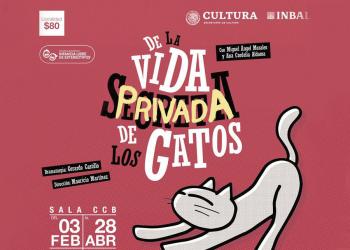 De la vida privada de los gatos