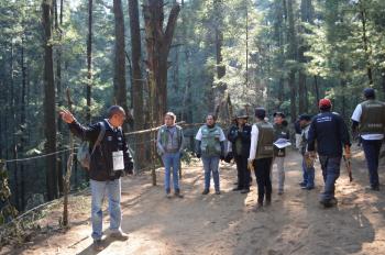 Encabeza SEDEMA operativo en zona forestal de Cuajimalpa