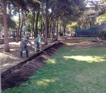 Conserva Xochimilco pulmones de la CDMX
