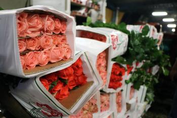 La CEDA celebra el 10 de mayo con noche de flores