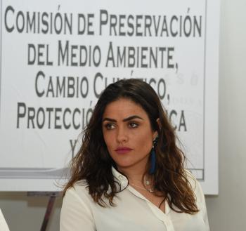 El combate a la contaminación atmosférica es un desafío regional de la zona centro del país