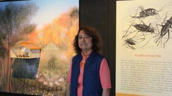 Cantan grillos en el Museo de Historia Natural y Cultura Ambiental