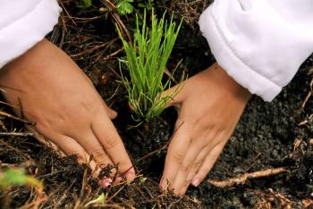 Gobierno Capitalino hace un llamado a sumar esfuerzos para lograr el Reto Verde