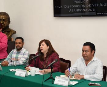 Alternativas para los vehículos en desuso y abandonados en la vía pública