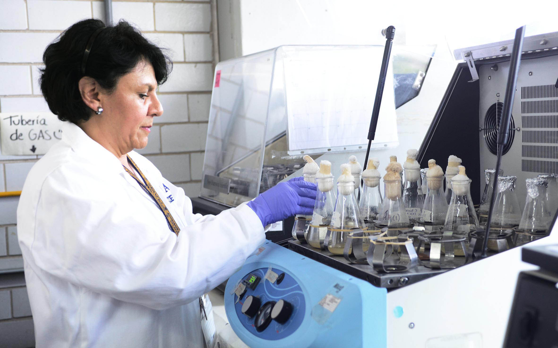 Patenta UNAM proteínas contra Bacteria de alta mortalidad causante de Listeriosis