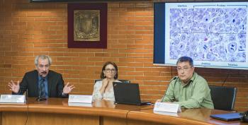 Obtiene la UNAM Patente de Fórmula Química para proteger el Hígado de Pacientes con VIH SIDA