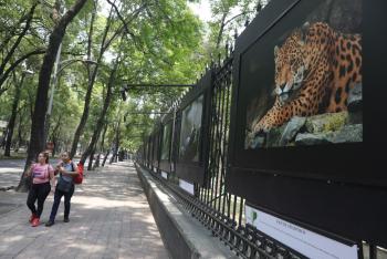 Ecuador se exhibe en el Bosque de Chapultepec