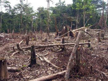 México es el país con más especies en peligro de extinción