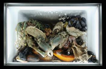 La materia viva desafía a la conservación en los museos de arte contemporáneo