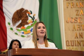 Desde el Congreso capitalino llaman a implementar acciones para detener el deterioro ambiental